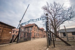 Советские войска освободили узников Освенцима